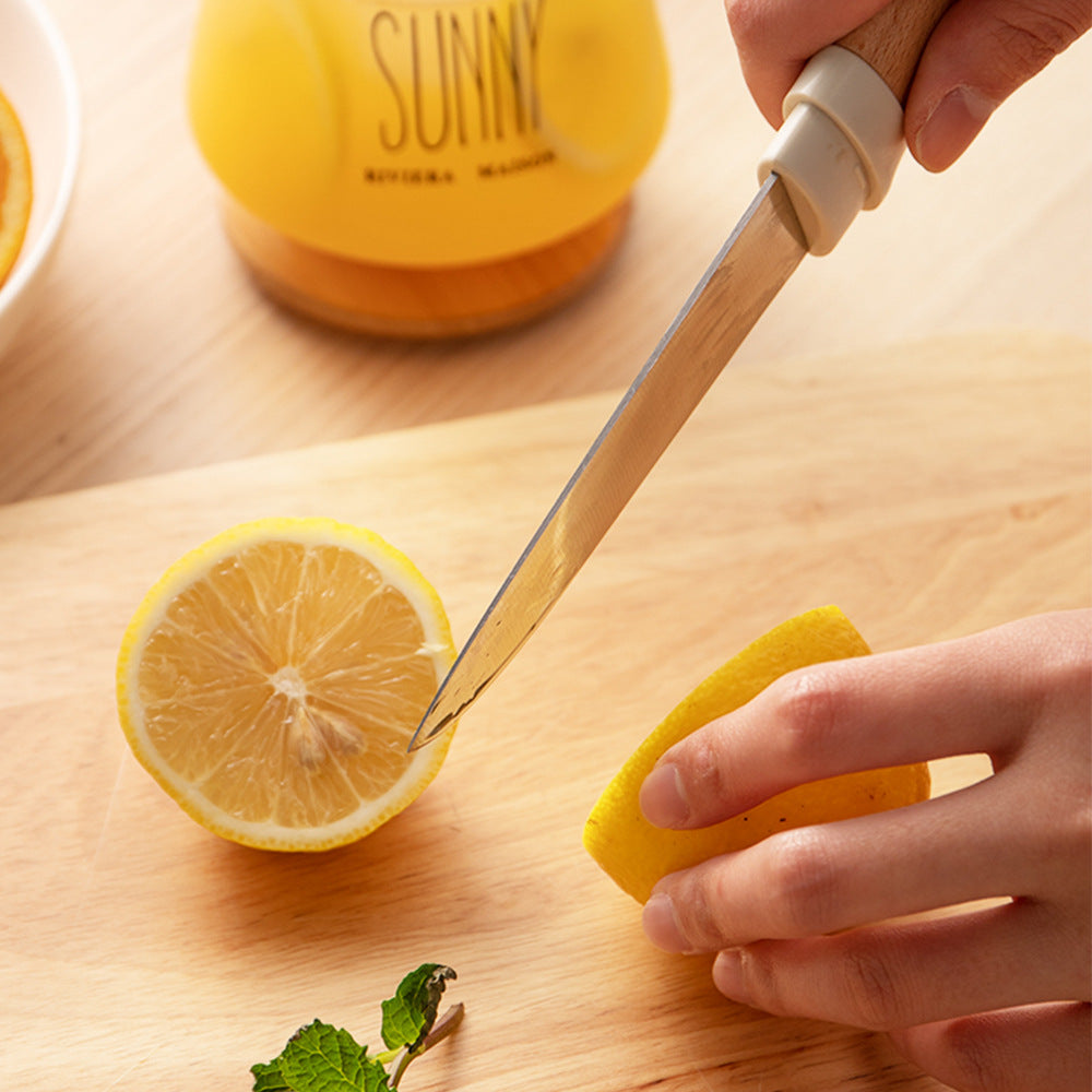 Manual Lemon Juicer With Residue Separation